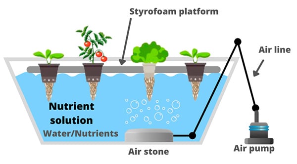 hydroponic Deep Water Culture or Bubbleponics schema with air stone inside a reservoir with water and nutrients with air pump too