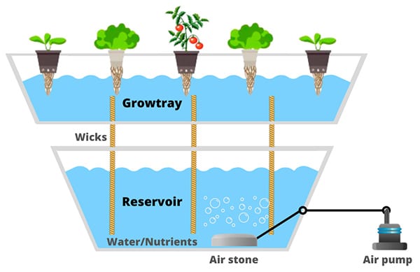 Wick Hydroponic Systems schema example with roots in water