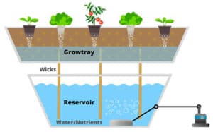 Wick Hydroponic Systems schema example with roots in soil