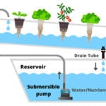 Hydroponics NFT System schema with two reservoirs short drain tube
