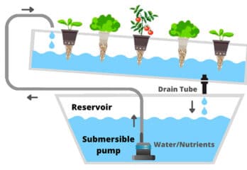 The Ultimate Guide to Hydroponic Systems Plans. TOP #34 Plans: Tips and Examples - Tutorial