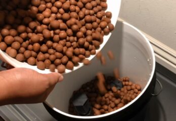 How to Use Clay Pebbles in Hydroponics - Tutorial