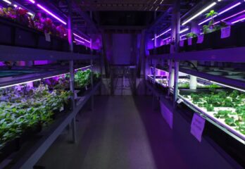 commercial hydroponics grow system