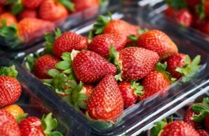 Growing Hydroponic Strawberries Indoors