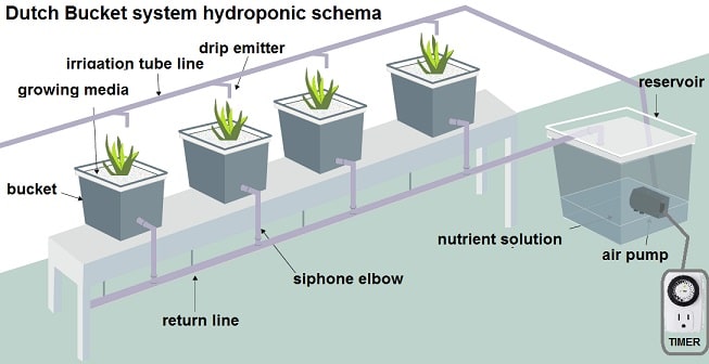 Dutch Bucket system hydroponic schema example in the room with air pump and timer