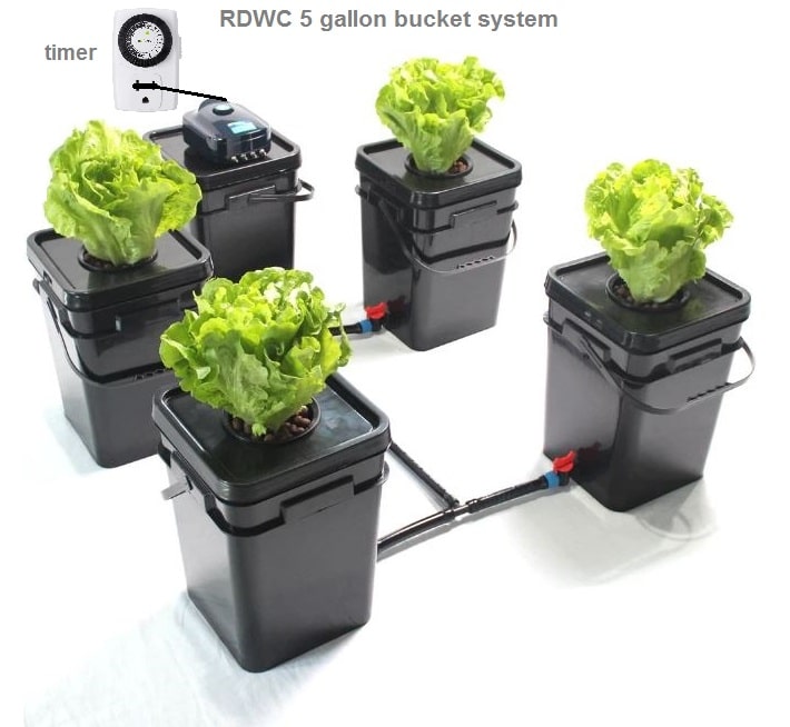 RDWC 5 Gallon bucket system scheme whith air pump and timer anf example plants in 4 plant buckets and 1 only nutrient bucket