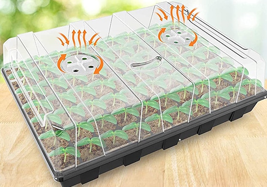 Gardzen 5-Set Garden Propagator Set, Seed Starter Tray with 350-Cell
