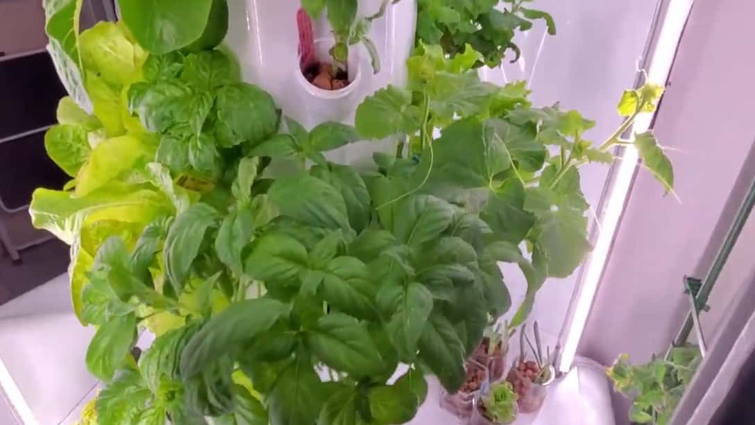 Aerospring 27- Plant Vertical Hydroponic Indoor Growing System looks very cool and becomes a highlight of the whole room design and you have a choice of two states with light and without light.