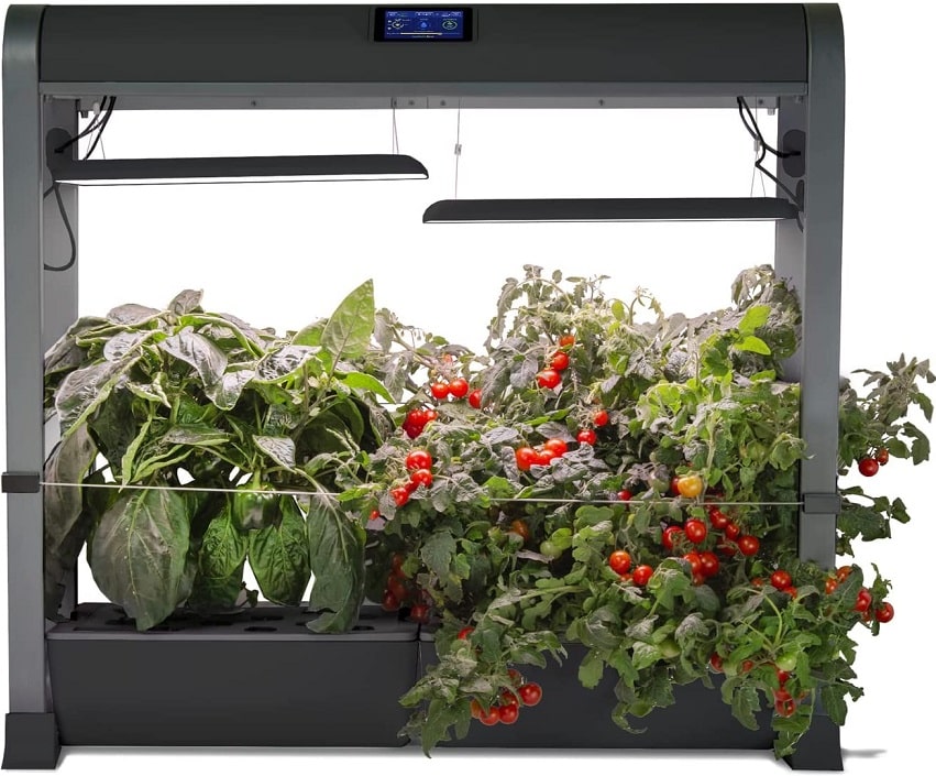 AeroGarden Farm 24Plus with Salad Bar Seed Pod Kit - Indoor Garden with LED Grow Light, Black