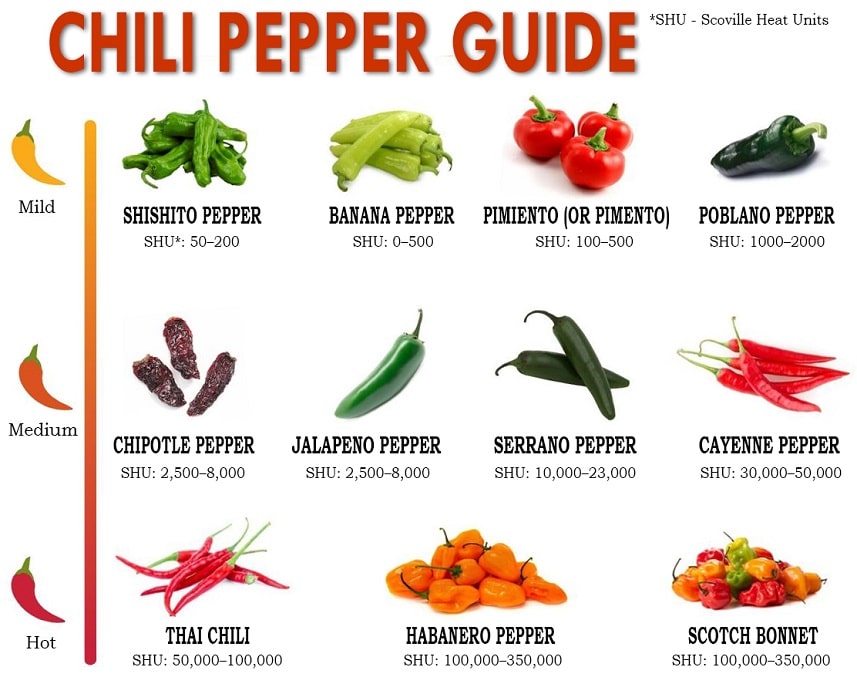 Chili Pepper Guide SHU Scoville Heat units detail schema