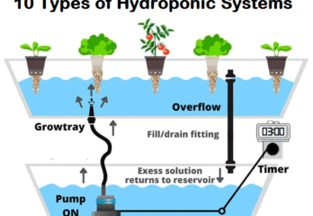 10 Different Types of Hydroponic Systems - How It Works?