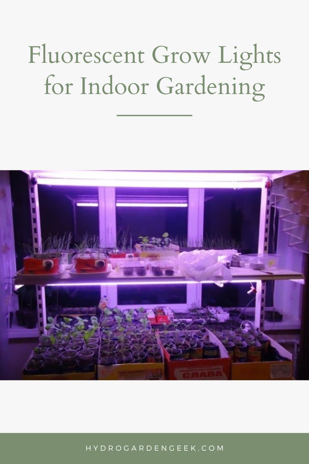 Fluorescent Grow Lights for Indoor Gardening [date template="Y"]) 🔥ACTUAL