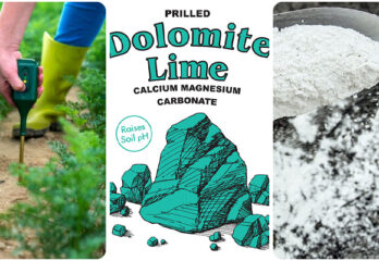 How To Use Dolomite Lime for Plants? - Tutorial