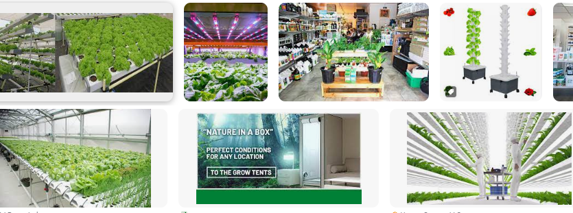Hydroponic Stores Online list3