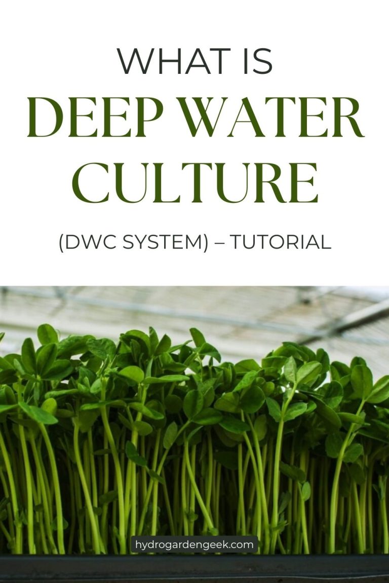 What is Deep Water Culture (DWC system) - Tutorial ★ January [date ...