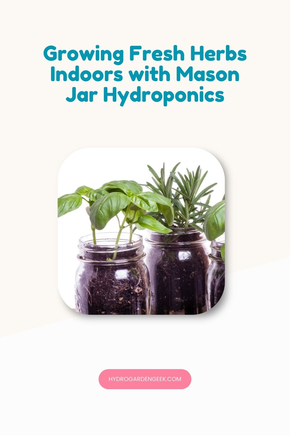 Growing Fresh Herbs Indoors with Mason Jar Hydroponics - Hydro Garden Geek