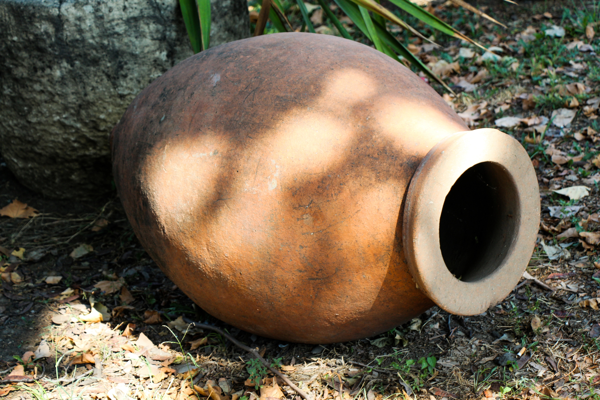 This Old-School Clay Pot Is Quietly Solving a Modern Watering Problem