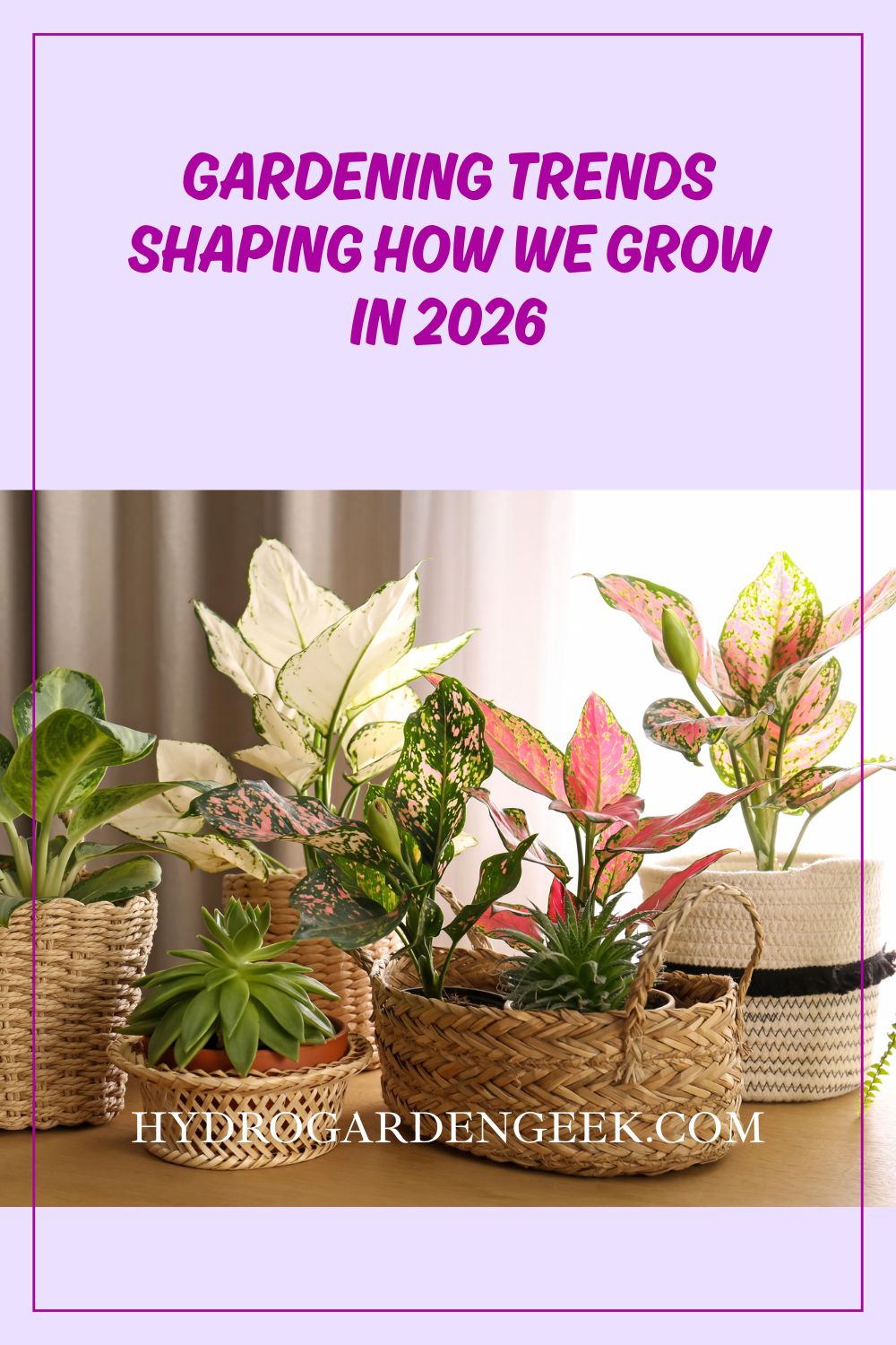 Gardening trends shaping how we grow in 2026 - Hydro Garden Geek