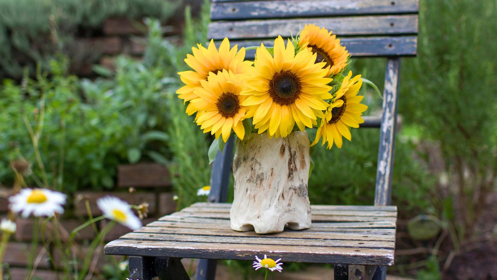 How to Help Cut Sunflowers Last a Little Longer