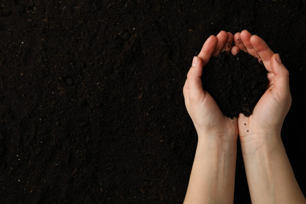 Woman hold soil on soil background, top view