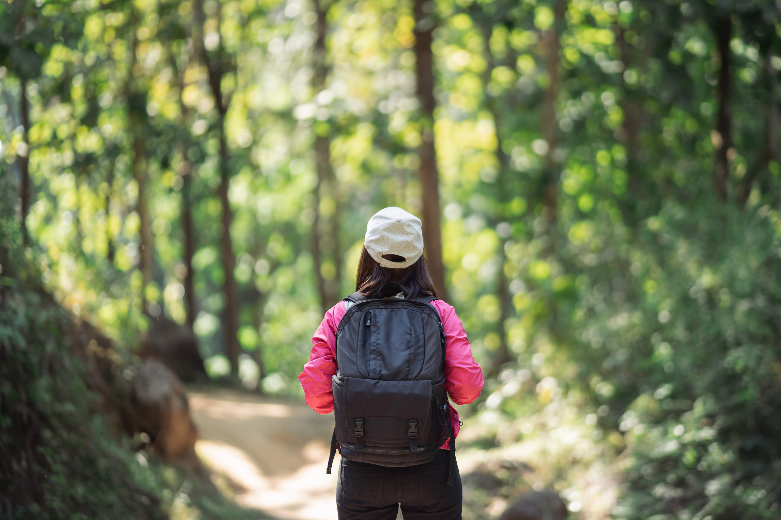 raveller woman hiking in the forest