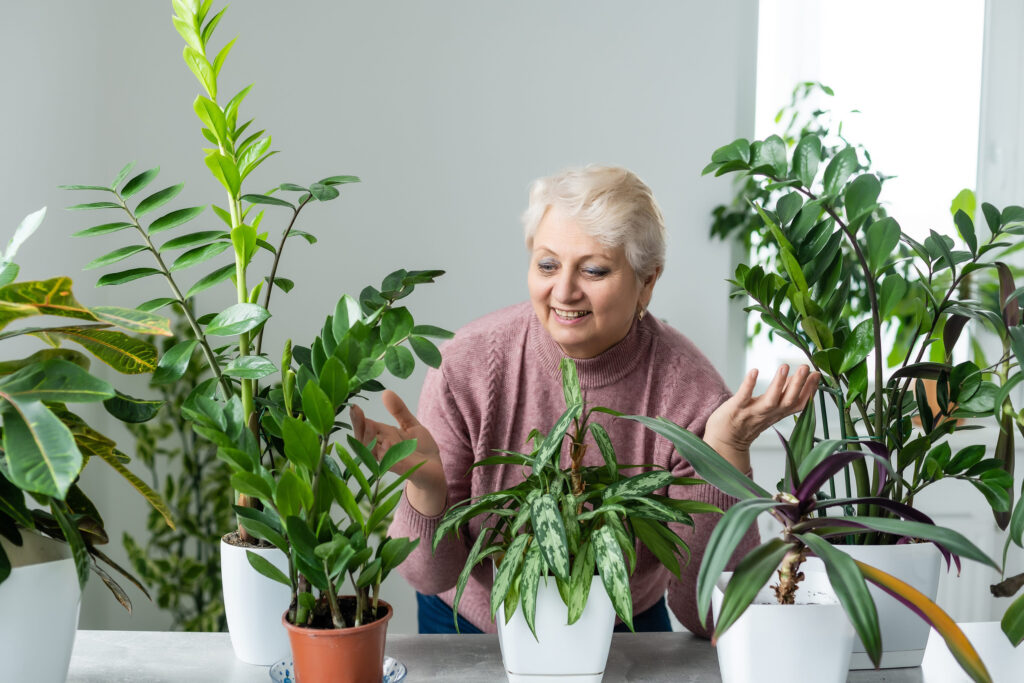 people, housework and plants care concept - senior woman watering