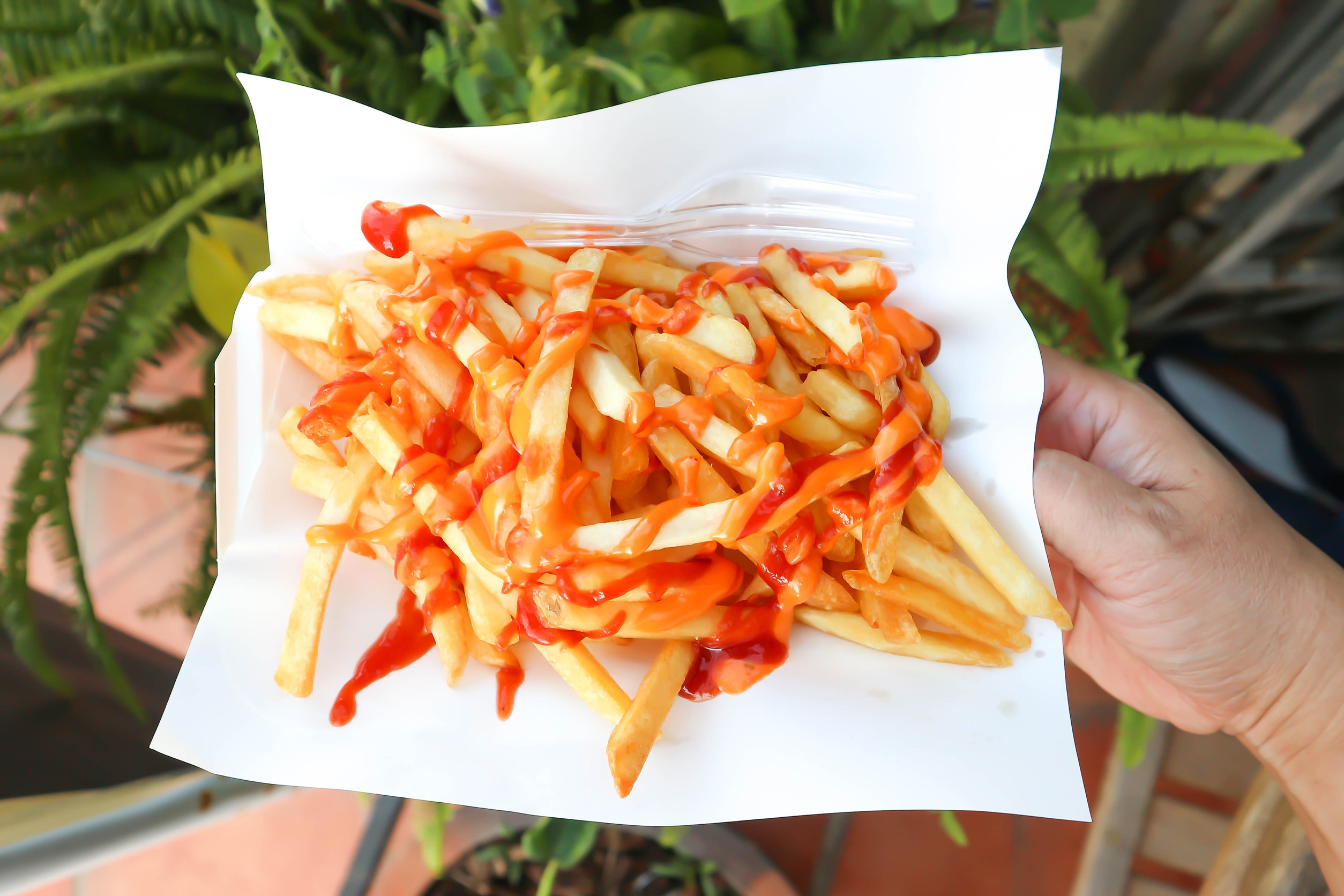 French fries or fried potato ,cheese fries or french fried