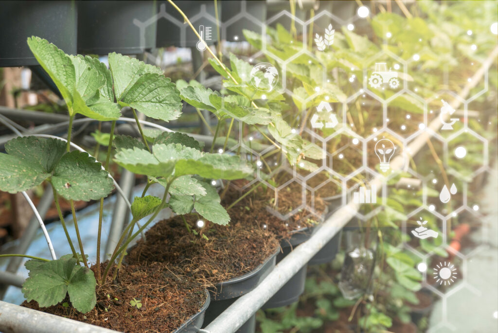 Plants background with biochemistry structure. Natural and science concept with virtual icon at the background.