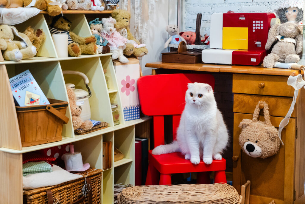 A charming white cat sits on a red chair in a cozy vintage room filled with stuffed toys and wooden furniture, creating a warm and inviting atmosphere.