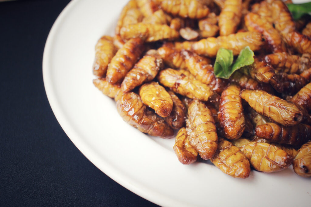 Dessicated Insects 10 Delectable Insects From Around the World That Are Truly Delicious ...