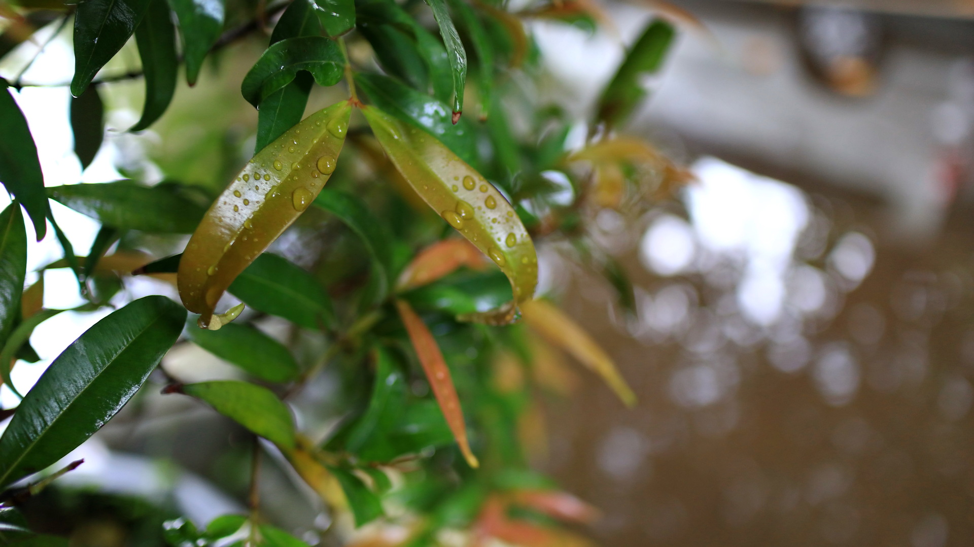 7 Spring Ingredients That Could Make Your Meal Less Healthy When Ignored