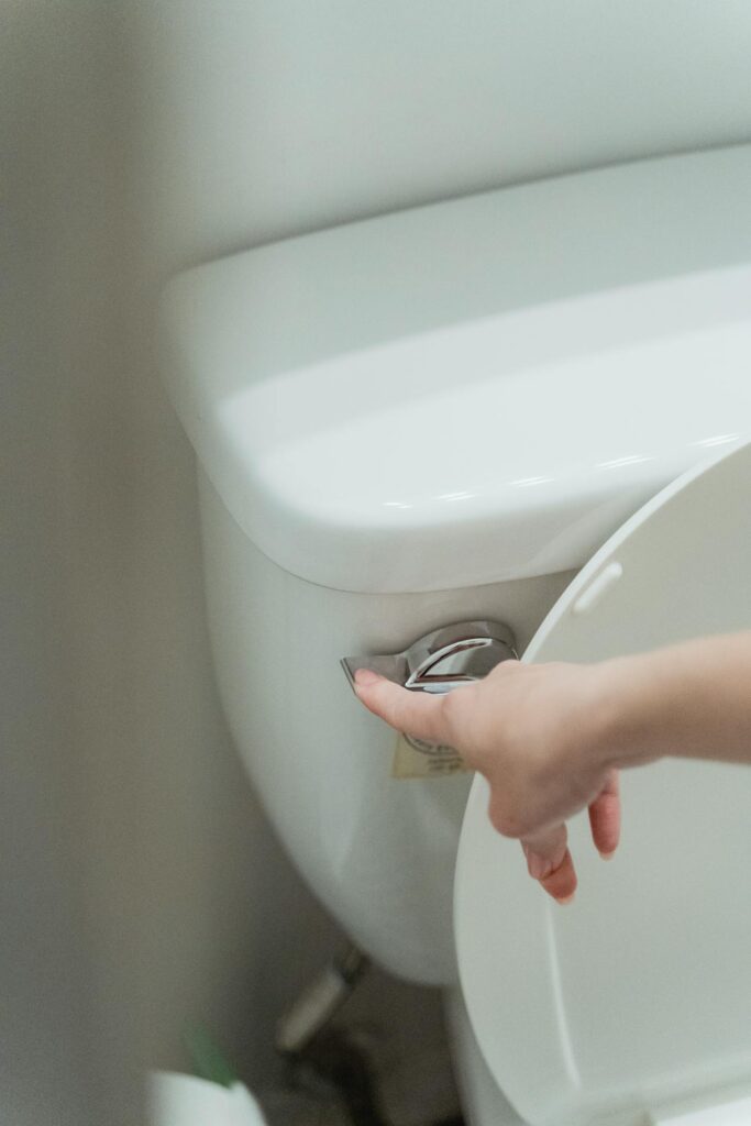 flushing-toilet-