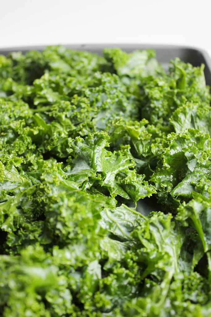 Vibrant green organic kale leaves captured in a close-up shot on a tray.