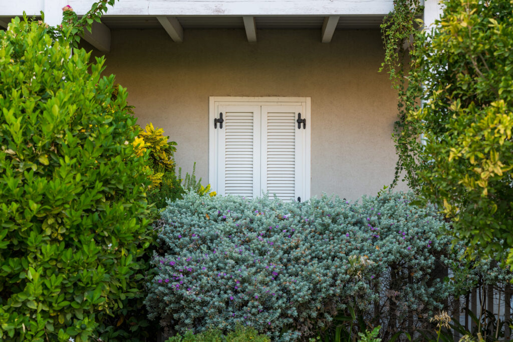 Visiting The American Colony in Tel Aviv, Israel