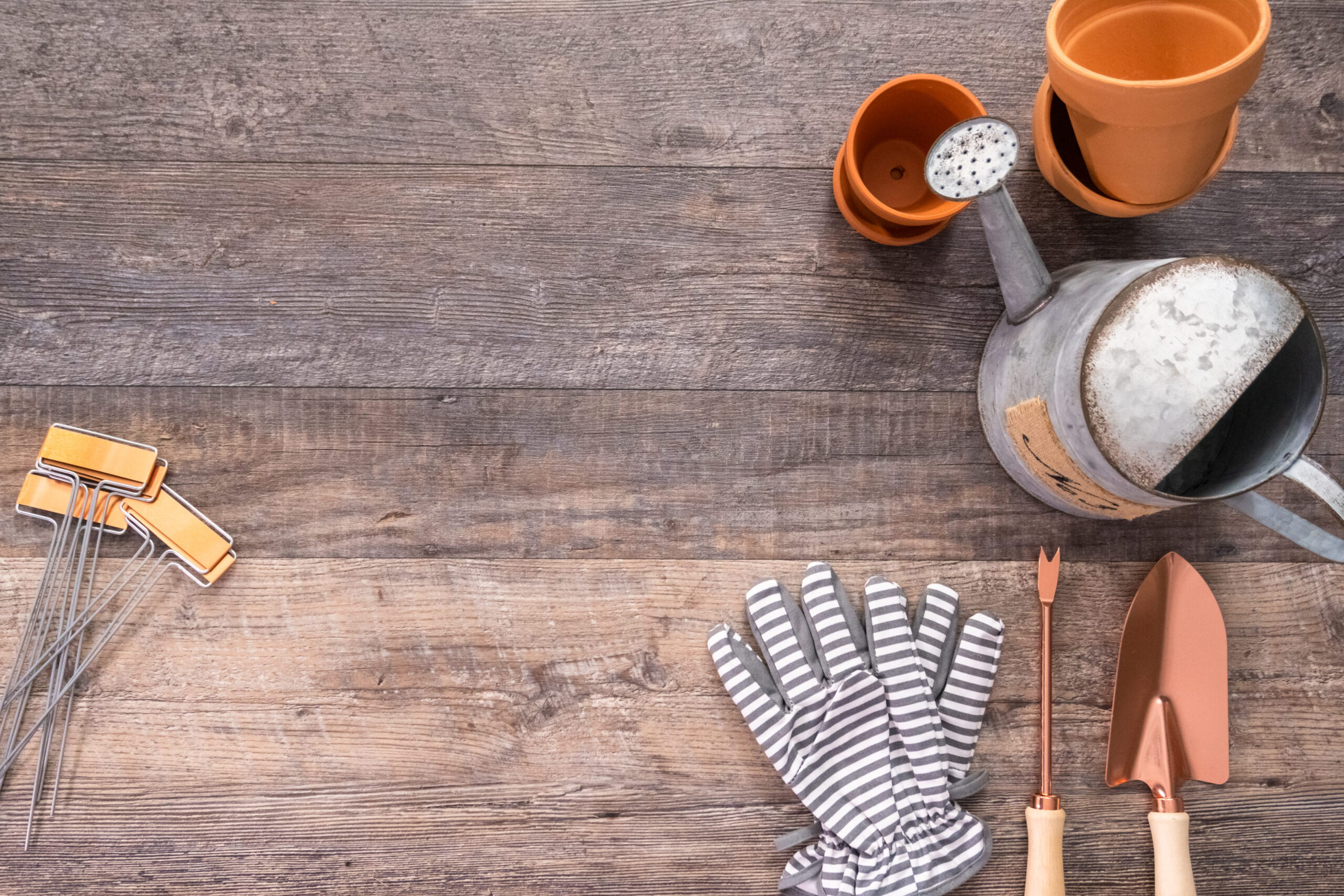 11 Gardening Tools and Supplies You Should Avoid to Save Money