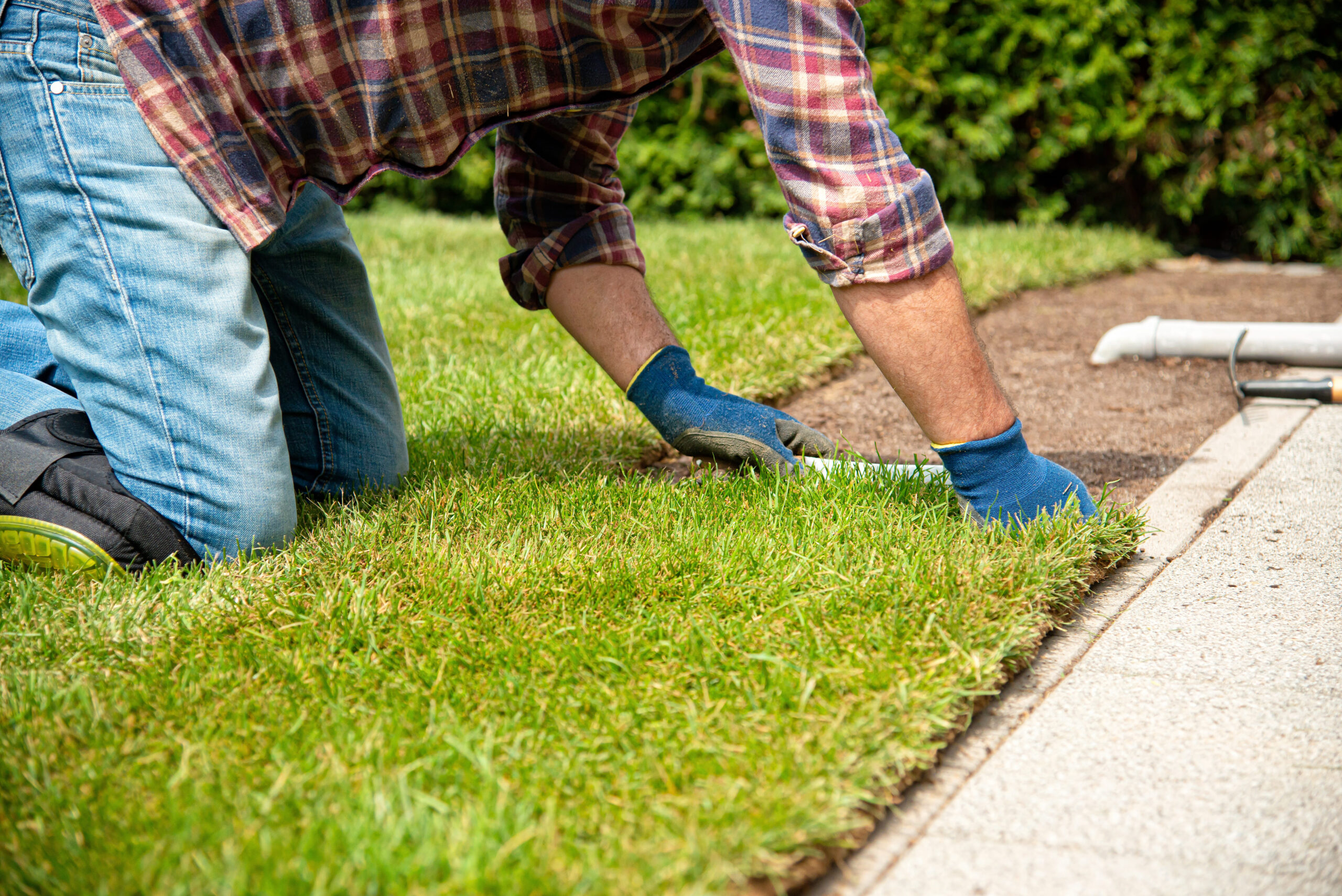 13 Landscaping Pitfalls That Are Costing You More Than You Realize
