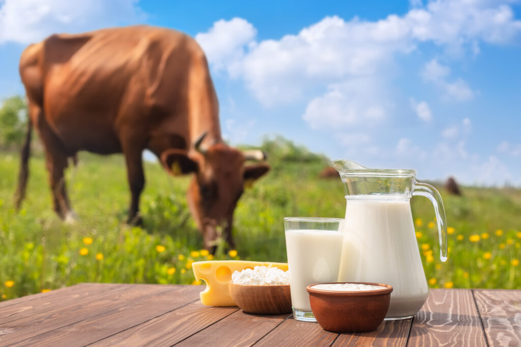 milk in glass jug