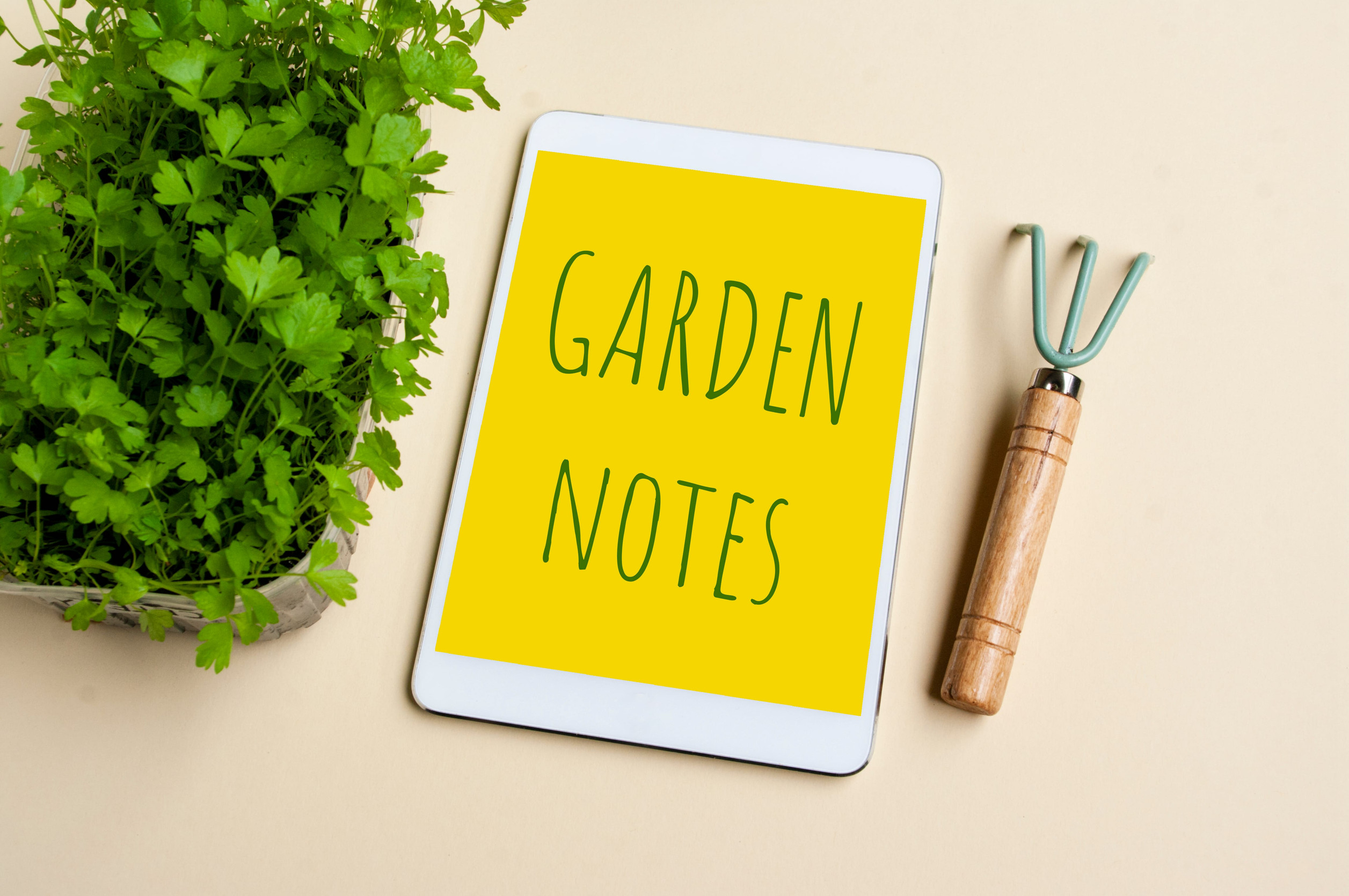 Tablet notebook for making gardening notes and plans, green fresh sprouts and tools for planting.