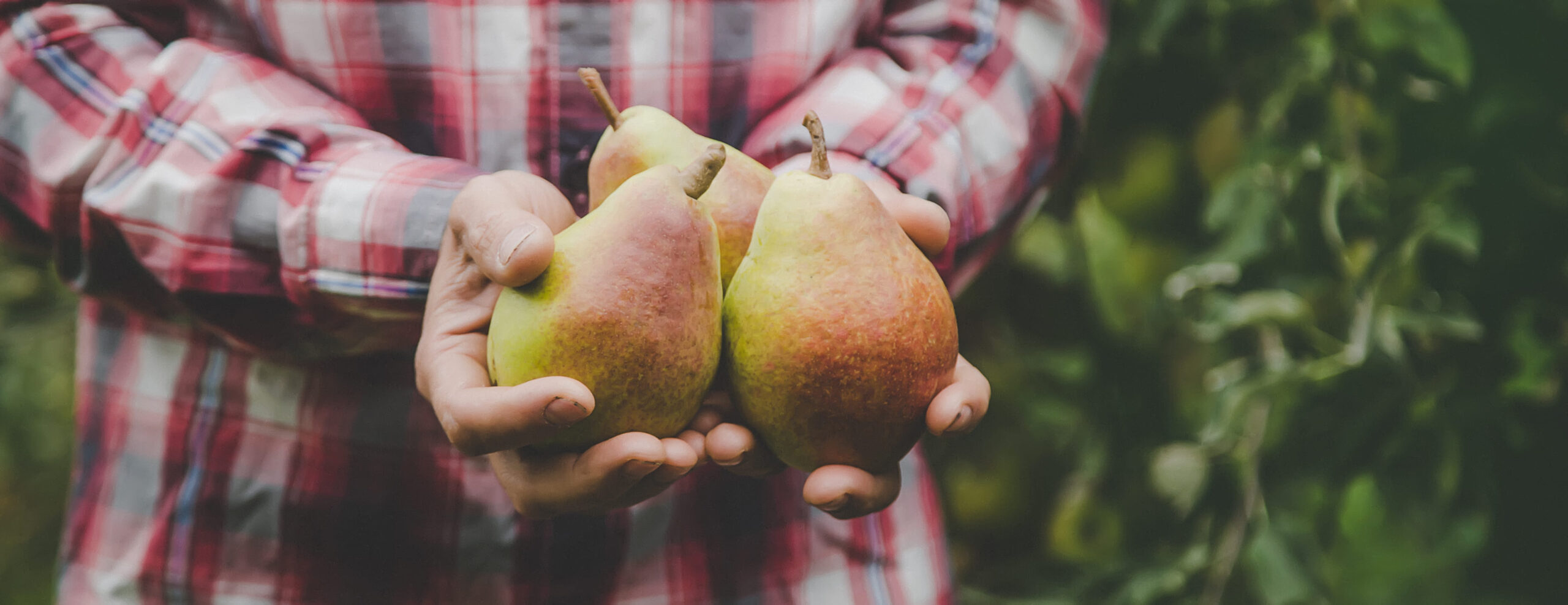 10 Forgotten Fruits and Vegetables That Deserve a Comeback