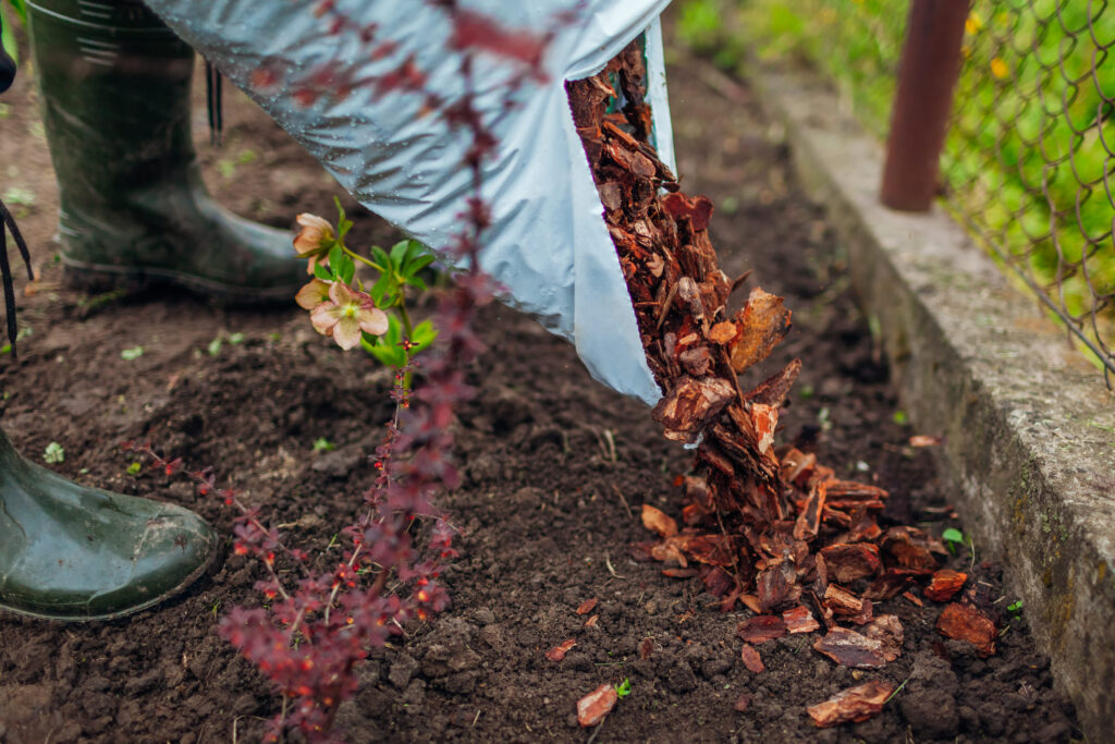 Ignore These 8 Things and Watch Your Money Waste on Your Garden 1 169764221 m