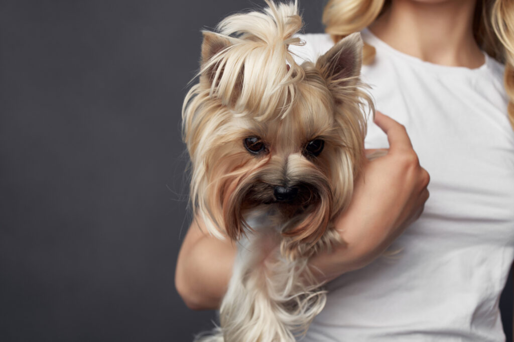 blonde with a small dog makeup posing cropped 
