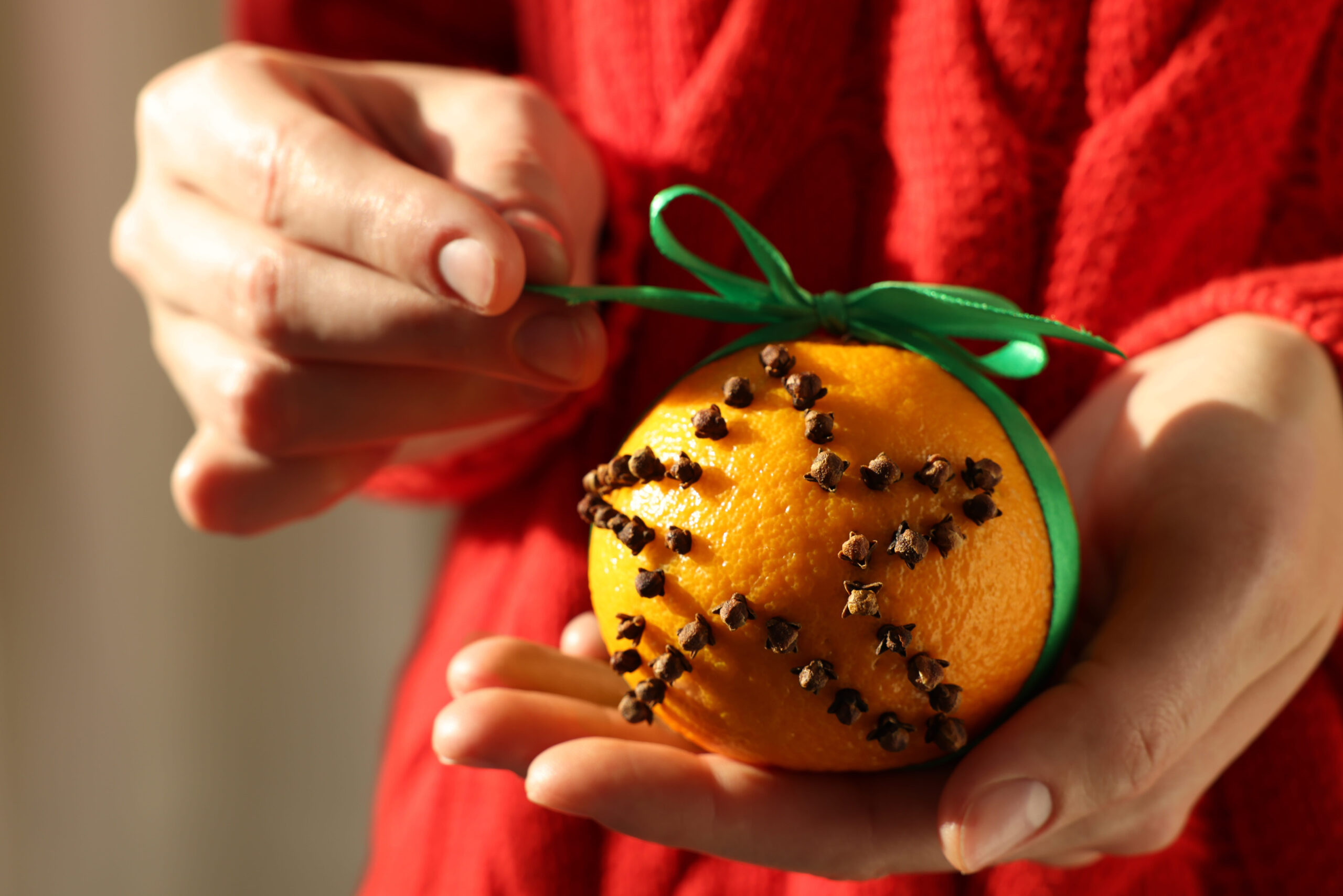 10 Odd Things Colonial Americans Kept at Home