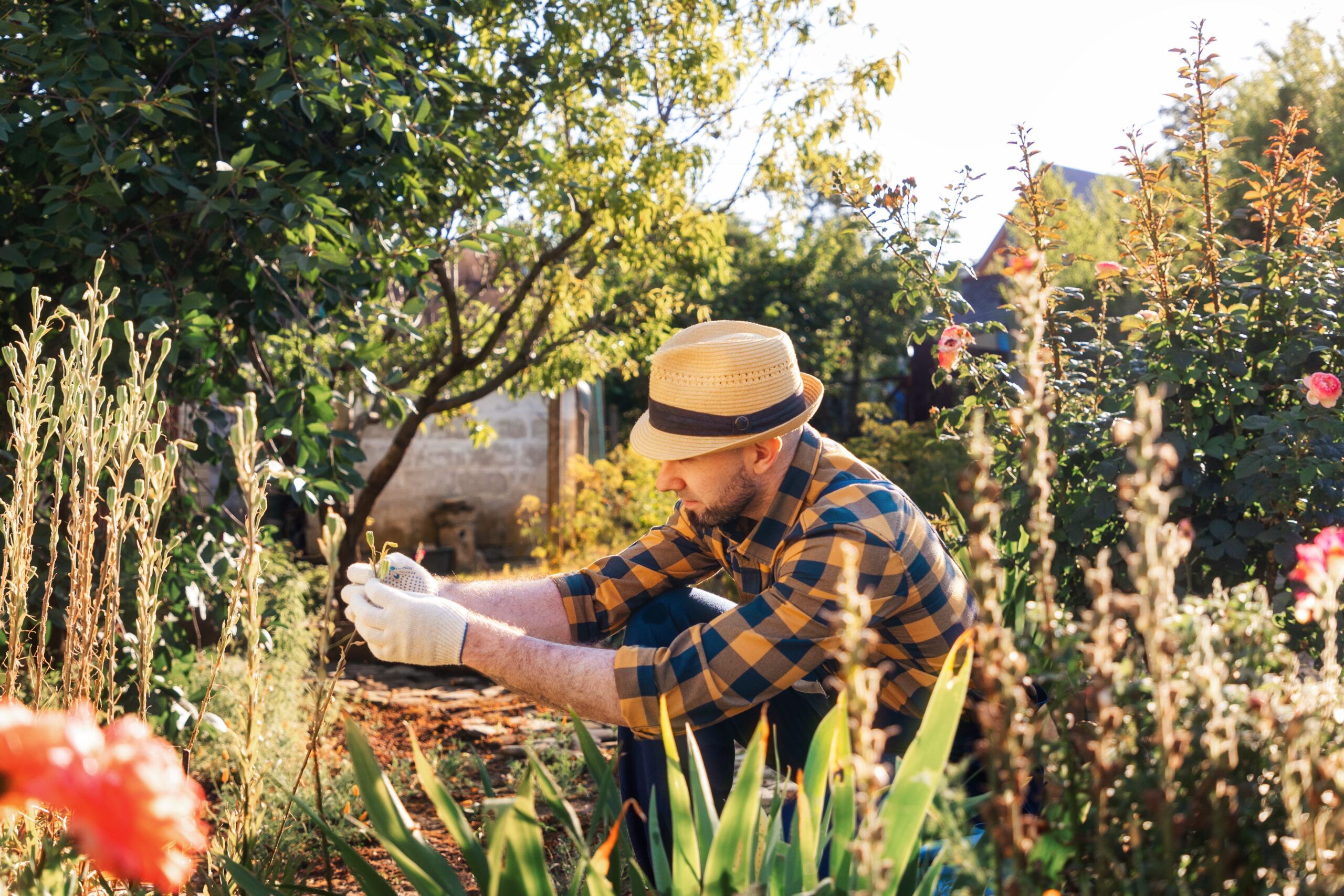 10 Creative Gardening Ideas Every Garden Lover Should Start Practicing Immediately