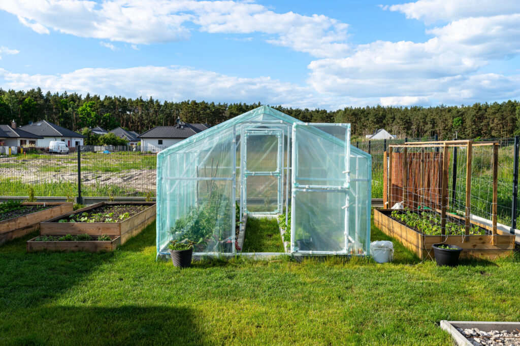 Backyard greenhouse made of foil standing on the grass behind the house.