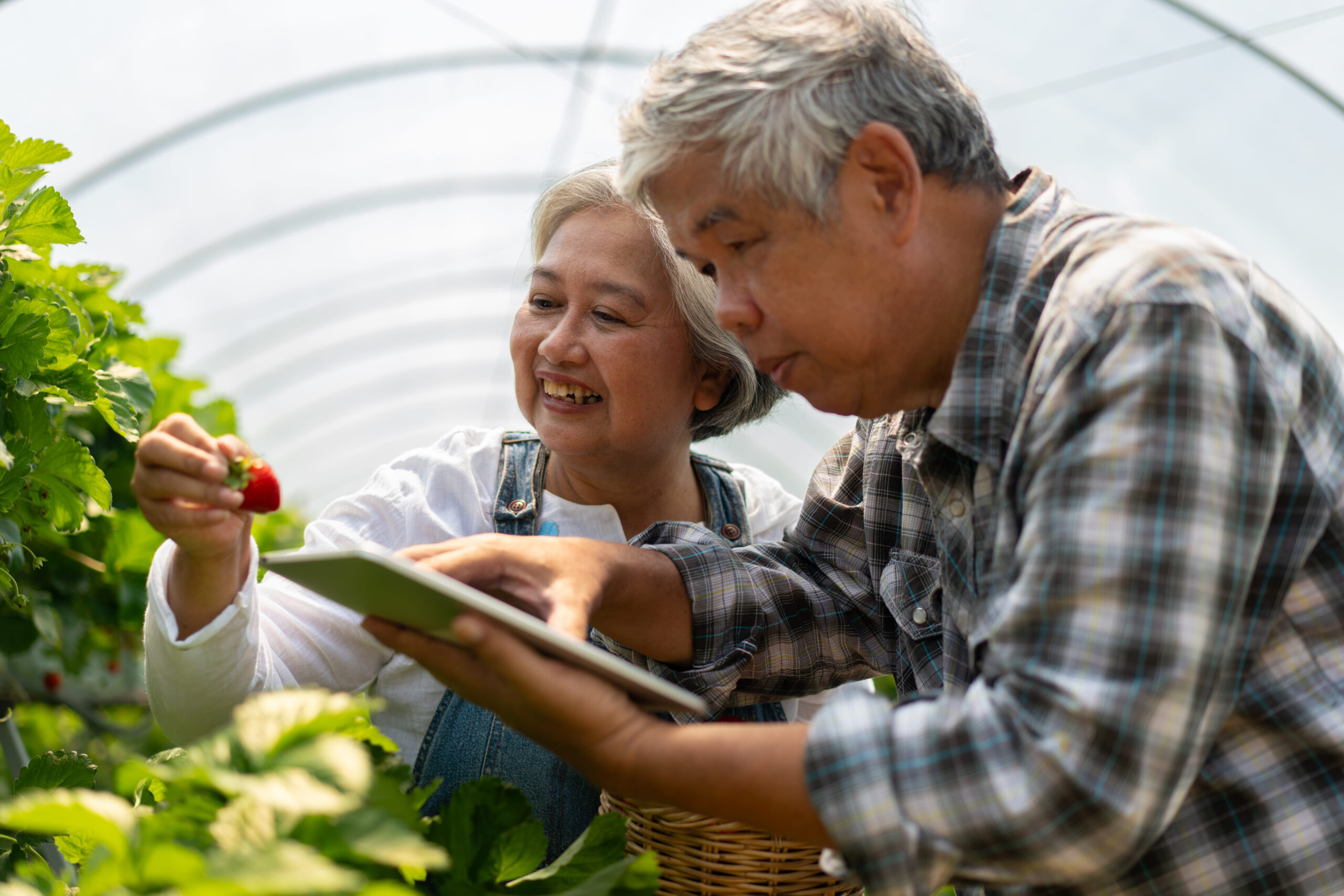 10 Simple Ways Boomers Practiced That Younger Generations Overlook