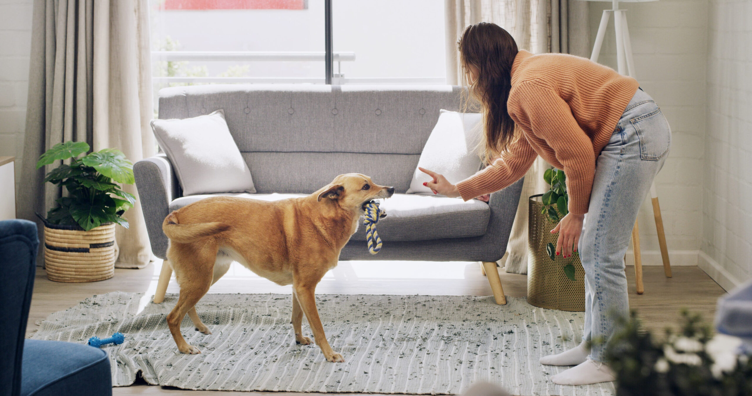 10 Affordable Pets That Can Help Protect Your Home