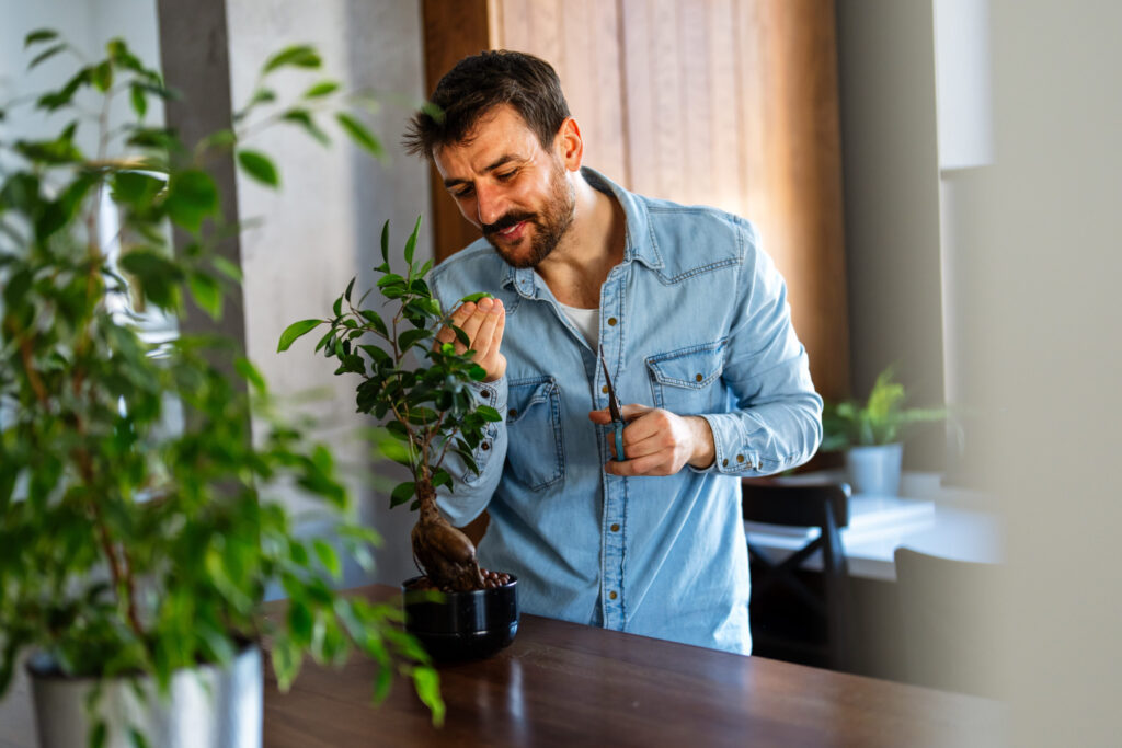 Man taking care of his houseplants, love for nature and the importance of sustainability at home