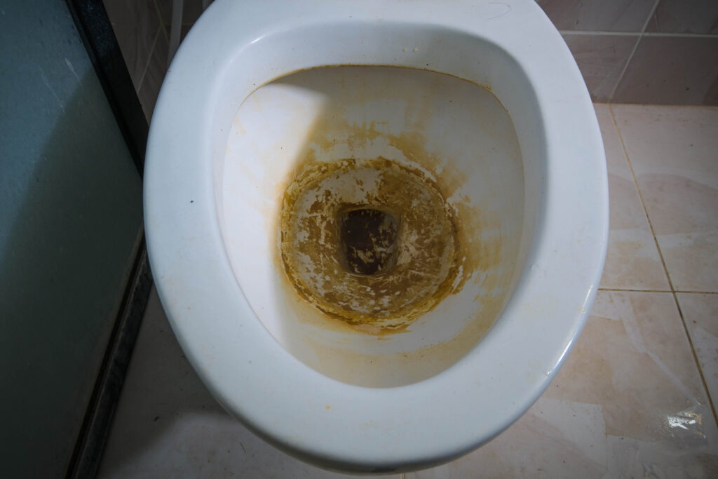 Close-up dirty lavatory in toilet