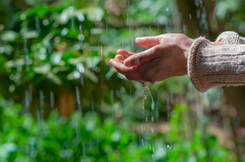 Ignore These 8 Things and Watch Your Money Waste on Your Garden 4 49962358 m