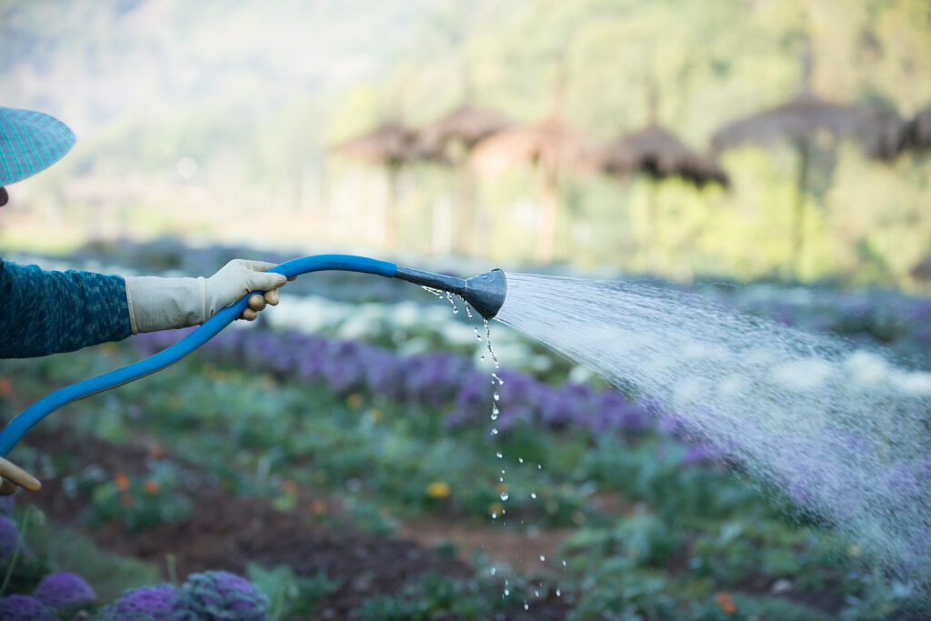 Texture background in worker watering the tree yard in the morning